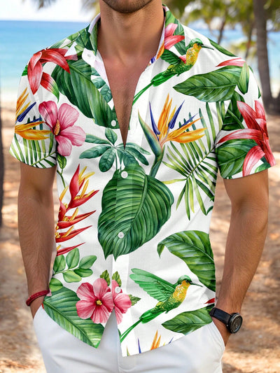 Men Tops